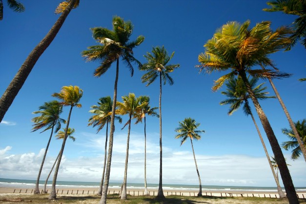 Vila Praia do Norte Ilhéus - Bahia - Brazil / Brasilien Valor a solicitar